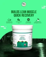 Safoof Mass Gain Herbal Weight Gain Powder Natural Body Mass Support Formula - Image 4